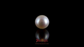 Pearl - 4.2 Carat