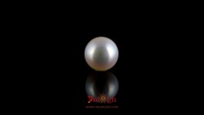 Pearl - 4.2 Carat