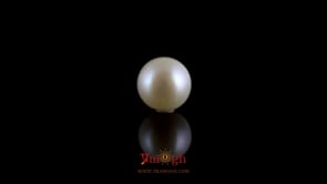 Pearl - 3.95 Carat