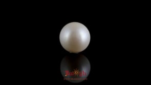 Pearl - 7.5 Carat