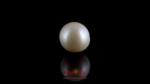 Pearl - 7.25 Carat