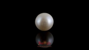 Pearl - 7.35 Carat