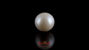 Pearl - 7.85 Carat