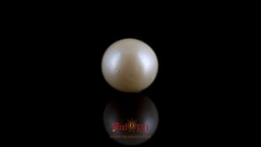 Pearl - 7.25 Carat
