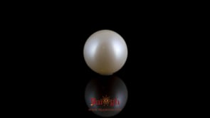 Pearl - 7.2 Carat
