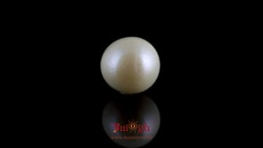 Pearl - 8.1 Carat