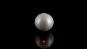 Pearl - 7.35 Carat