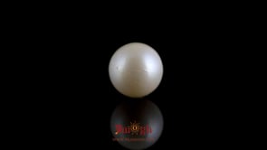 Pearl - 7.35 Carat