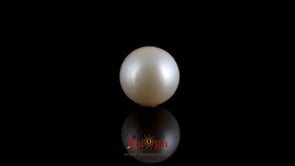 Pearl - 7.65 Carat