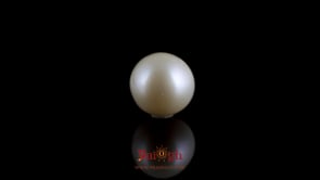 Pearl - 7.3 Carat