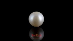 Pearl - 8.15 Carat