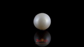Pearl - 7.5 Carat