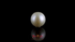 Pearl - 7.2 Carat