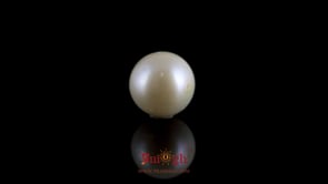 Pearl - 7.2 Carat