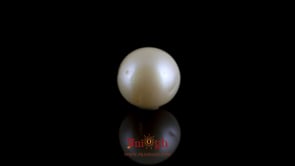 Pearl - 7.8 Carat