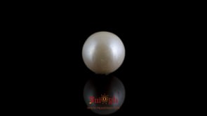 Pearl - 7.8 Carat
