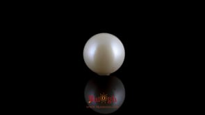 Pearl - 7.45 Carat