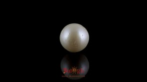 Pearl - 7.05 Carat
