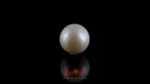 Pearl - 7.25 Carat