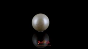 Pearl - 7.3 Carat