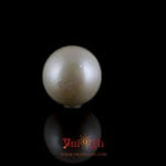 Pearl - 7.3 Carat