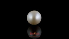 Pearl - 8.15 Carat