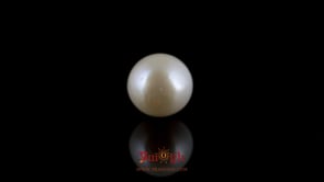 Pearl - 7 Carat