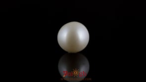 Pearl - 7.4 Carat