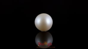 Pearl - 7.6 Carat