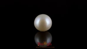 Pearl - 7.55 Carat