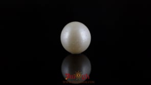 Pearl - 7.3 Carat