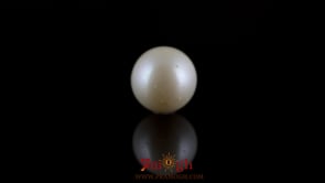 Pearl - 7.25 Carat