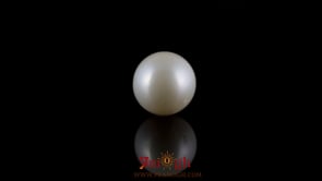 Pearl - 7.05 Carat