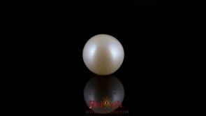 Pearl - 7.25 Carat
