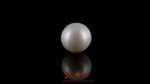 Pearl - 7.2 Carat