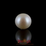 Pearl - 7.45 Carat