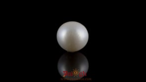 Pearl - 7.6 Carat