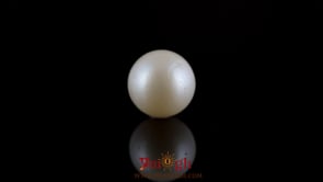 Pearl - 7.5 Carat