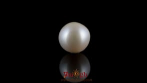 Pearl - 7.65 Carat