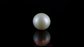 Pearl - 7.65 Carat