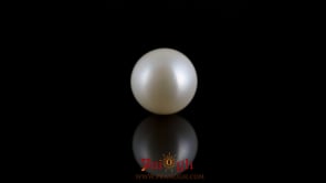 Pearl - 7.8 Carat