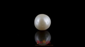 Pearl - 7.3 Carat