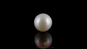 Pearl - 7.5 Carat