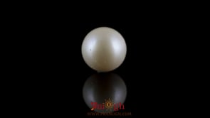 Pearl - 7.25 Carat