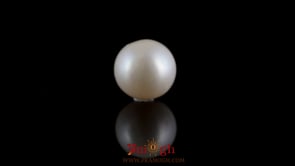 Pearl - 7.2 Carat