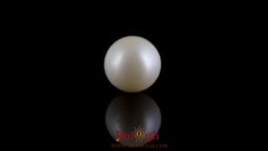 Pearl - 7.5 Carat