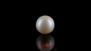 Pearl - 7.05 Carat