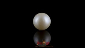 Pearl - 7.2 Carat