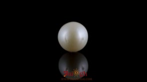 Pearl - 6.95 Carat