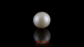 Pearl - 7.2 Carat